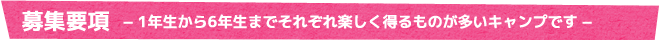 募集要項　− 1年生から6年生までそれぞれ楽しく得るものが多いキャンプです −