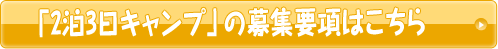 「2泊3日キャンプの募集要項はこちら