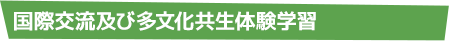 留学生と海外留学経験者との国際交流体験学習